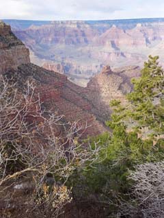 photo of the Canyon